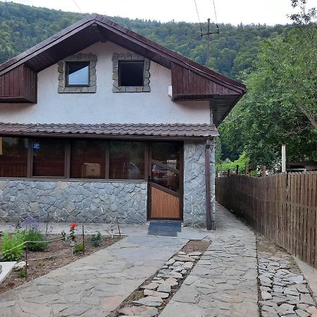 Casa Crissio Villa Sinaia Dış mekan fotoğraf