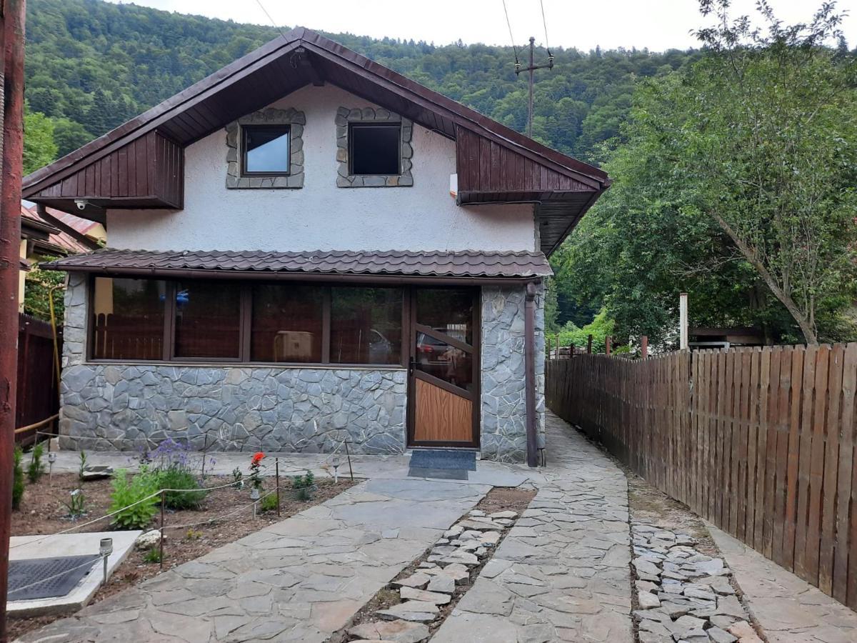 Casa Crissio Villa Sinaia Dış mekan fotoğraf